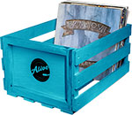 

Ящик для 80 пластинок Alive Audio AABX-085 Nature Blue