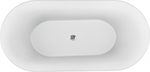 Акриловая ванна Aquanet Family Smart 170x78 88778 Matt Finish белый (88778-MW) акриловая ванна aquanet family perfect 170x75 13775 gloss finish белый 13775 gw