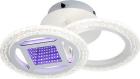

Потолочная светодиодная люстра Escada Mira 10214/2LED