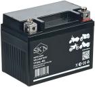 

Аккумулятор для мототехники SKN LiFePO4 YTX4L-BS, 12V/4Ah/50A (UTX4L-BS, CT 1204, MT 12-4), Черный