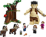 

Конструктор Lego HARRY POTTER ''Запретный лес: Грохх и Долорес Амбридж'' 75967