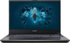 Ноутбук Colorful X17 AT 23, Grey (A10003400458)