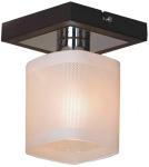

Потолочный светильник Lussole Costanzo GRLSL-9007-01, Белый/коричневый