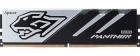 

Оперативная память Apacer DDR5 32Gb 6200MHz PANTHER (AH5U32G62C5327BAA-1), Черный/серебристый