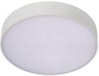 

Потолочный светодиодный светильник Aployt Evon (APL.0114.09.18), Белый