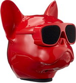 

Портативная акустика AEROSYSTEM Aerobull NANO Glossy red