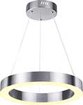 Подвесной светильник Odeon Light L-VISION (4244/25L) матовый никель/металл