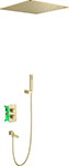 Душевая система встроенная с термостатом  Timo Petruma, золото матовое (SX-5019/17SM) смеситель для раковины встроенный timo briana 7171 17sm золото матовое