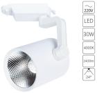 

Трек-светильник Arte Lamp A2330PL-1WH белый