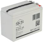 

Тяговый аккумулятор SKN 6-EVF-45 (12V47.5A/H C5), Белый