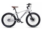 

Велосипед Maxiscoo 7BIKE 20 M700 Серебро (2024) (MSC-M7-2007P), Серебристый