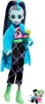

Кукла Monster High Френки Штейн HKY68