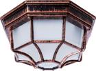 

Уличный потолочный светильник Arte Lamp АНТИЧНАЯ МЕДЬ (A3100PL-1AC), Медный