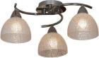 

Люстра потолочная Lussole Zungoli LSF-1603-03