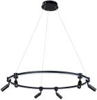 

Светильник подвесной Arte Lamp A2186SP-1BK, черный