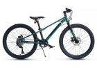 

Велосипед Maxiscoo 7BIKE 24 M500 Изумруд (2024) (MSC-M7-2401P), Зеленый