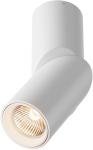 

Потолочный светильник Maytoni Dafne Ceiling Wall/Белый (C027CL-L10W)
