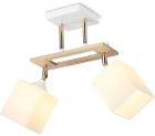 

Спот Ambrella Light Traditional Modern TR9501
