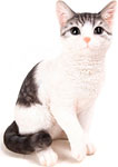 

Статуэтка Art Atelier ''Кот'' 435-032