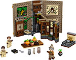 

Конструктор Lego HARRY POTTER ''Учёба в Хогвартсе: Урок травологии'' 76384