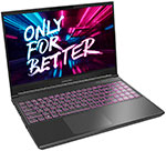 

Ноутбук Maibenben X525 156 X525FSGALBRE0 черный