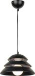

Подвесной светильник Lussole Loft Beijing LSP-8131, Черный