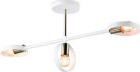 

Потолочный светильник Ambrella Light Traditional (TR8228)