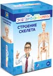 

Научный набор Экспериментариум ''Строение скелета''
