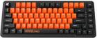 

Игровая клавиатура механическая беспроводная Thunderobot K75 VP Edition (JM03NK00ARU), Черный