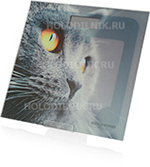 

Весы напольные REDMOND RS-735 (кошка)